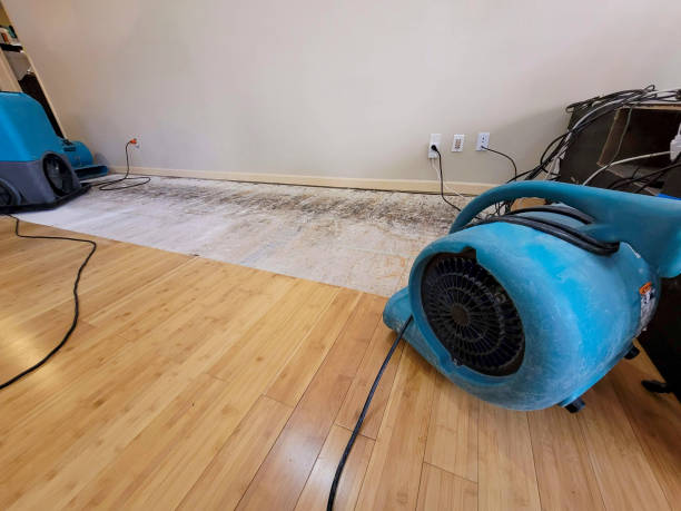Professional Water Damage Repair technician working in Indiahoma, OK